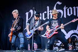 Black Stone Cherry stammer fra Kentucky i USA og blev dannet i 2001. BSC består i skrivende stund af John Fred Young(søn af  Richard Young fra Kentucky Headhunters), Chris Robertson, Ben Wells og Steve Jewell. 

Deres sange er meget  lytbare, selv om de stadig er til den heavy side. Og det er faktisk det, jeg godt kan lide ved bandet. At de spiller tung gyngende rock, men som du også kan synge og gynge med på. Det er ikke bare meningsløs larm.